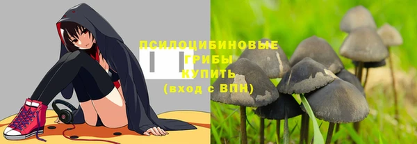 крисы Нефтегорск
