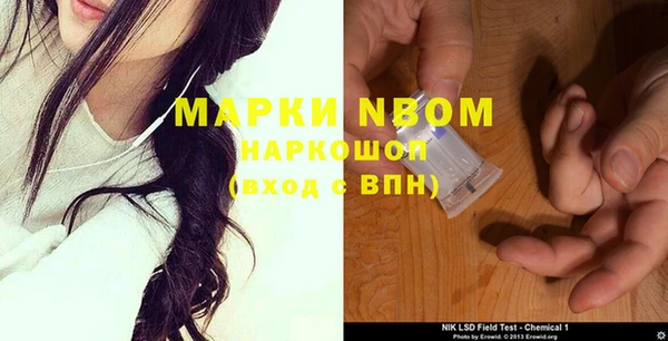 сатива Нефтекумск